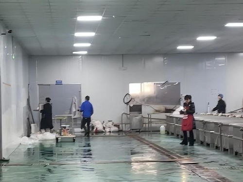 鹿哈毛肚爆單三千萬 品質危機與供應鏈誰人兜底？